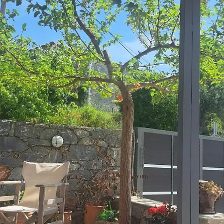Dimitris Villa Exochori