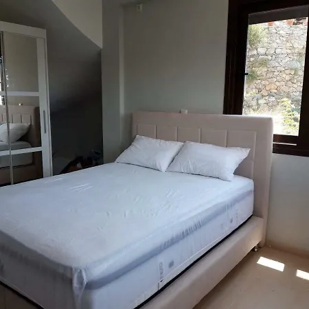 Dimitris Villa *