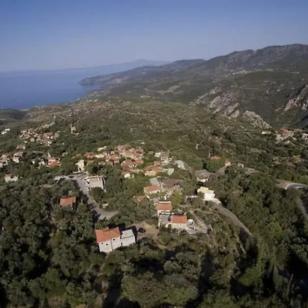 Villa Dimitris *